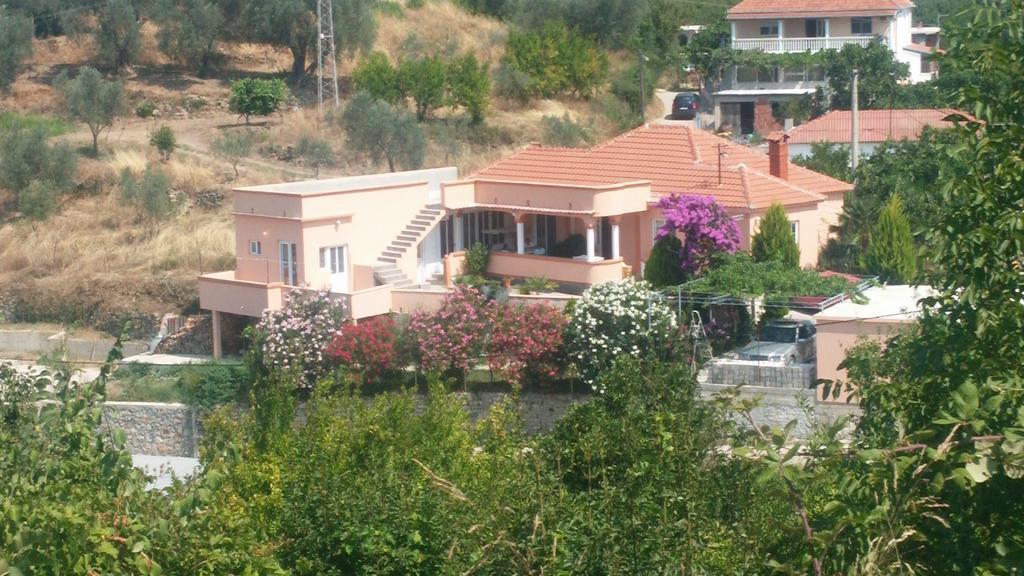Guest'S House "Lindi&Roni" Apartment Ulcinj Ruang foto